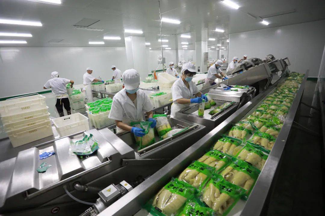 ▲ 江西省抚州市乐安县前坪工业园区江西登仙桥食品厂工人们正在加紧生产