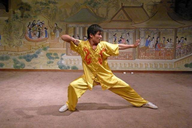 传统南拳武术（武术南拳视频讲授
）