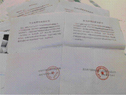 图源：新京报他还私刻“阳光财险”“平安财险”公章，伪造《还款协议书