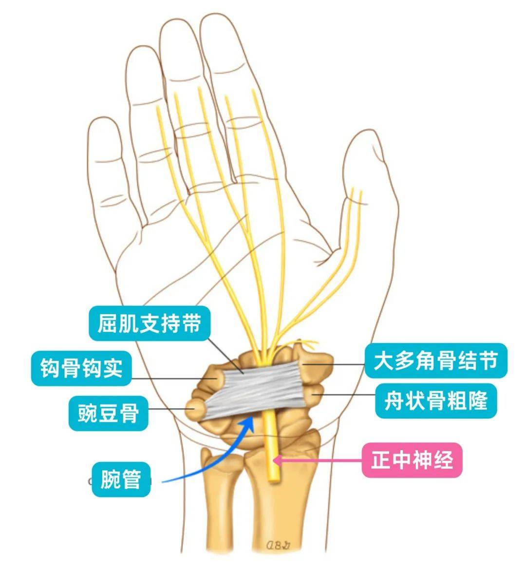 你可能得了这种疾病