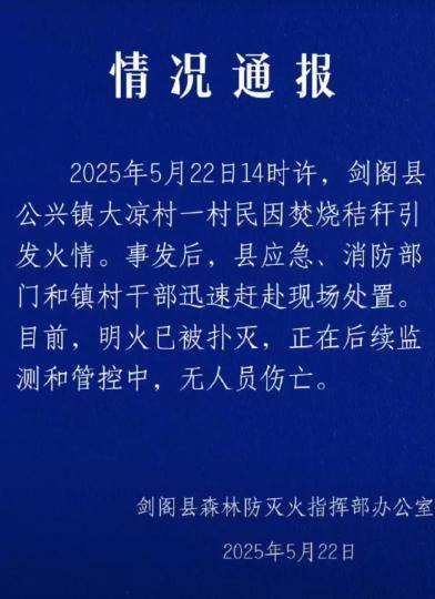 四川剑阁山火系一村民烧秸秆引发 无人员伤亡