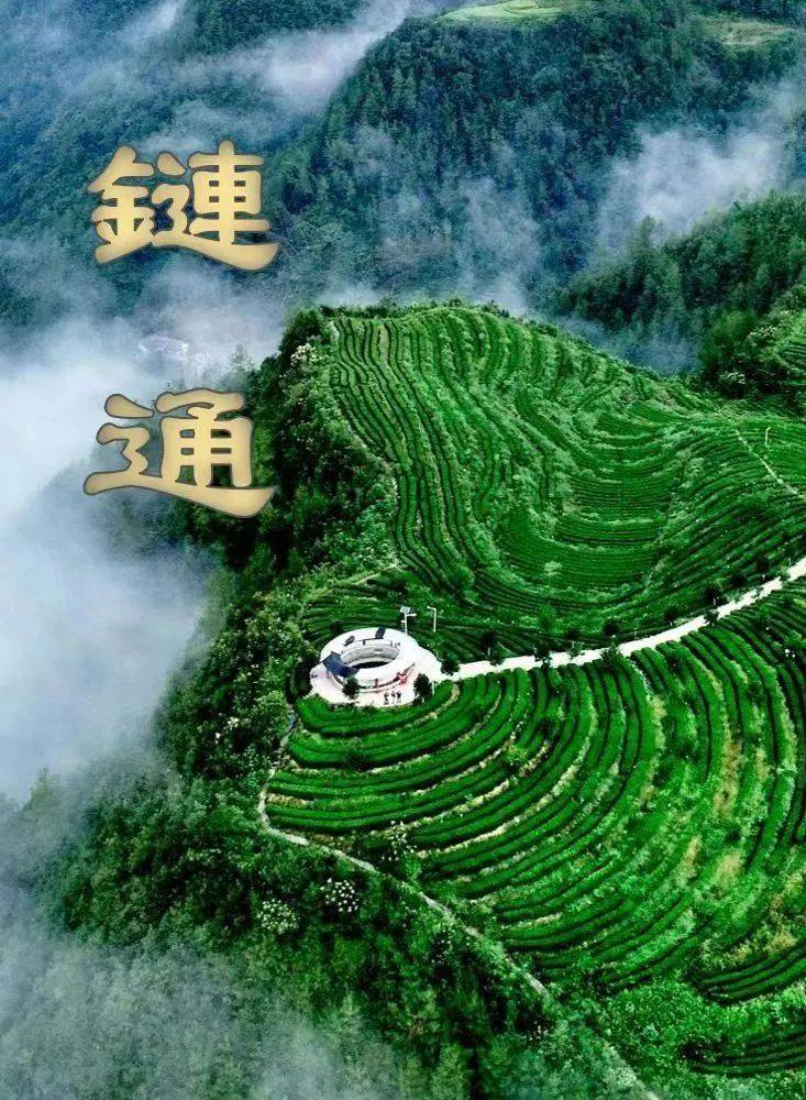 “链”通行证