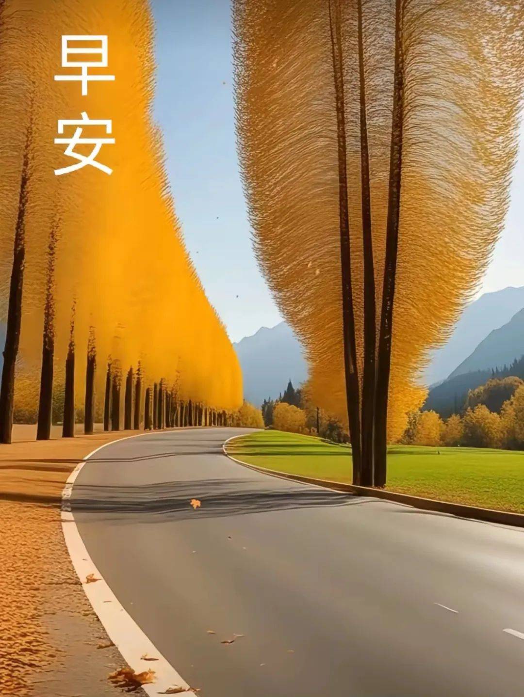 精选180张早安精美高级图片唯美治愈风景早上好祝福语晨安如意美梦