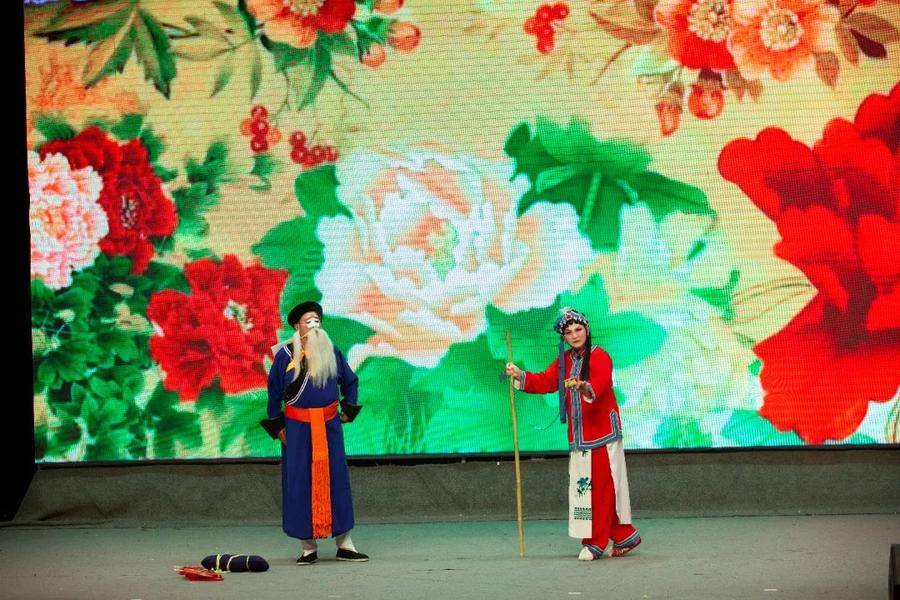 2025年全市社会文艺团体优秀作品展演圆满完成