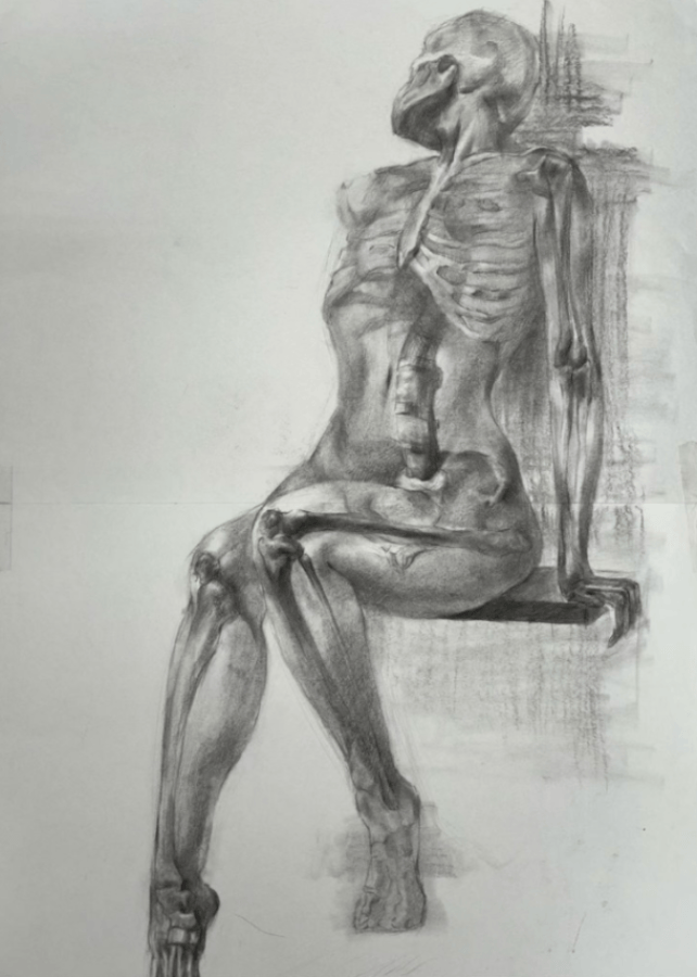 23美术学(师范)素描课程展