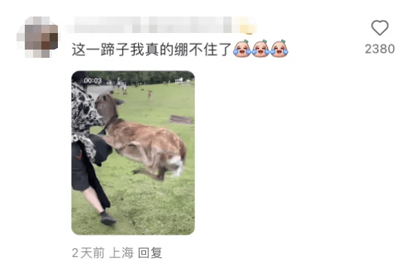 日本奈良小鹿当街抢中国游客包，飞脚踹人后携包狂奔！当事人：钱包和护照都丢了，心理伤害很大