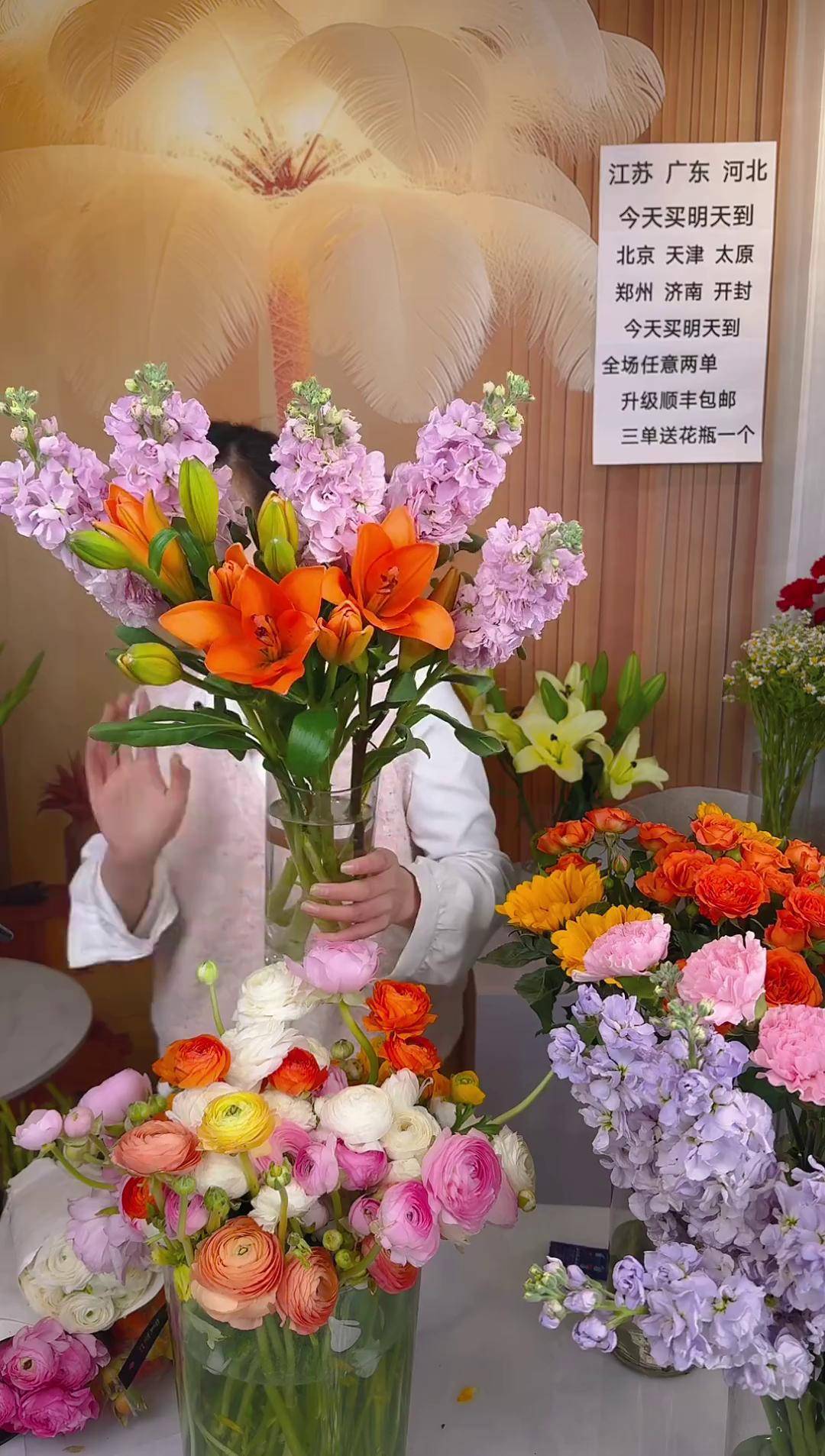 混色洋牡丹 鲜花