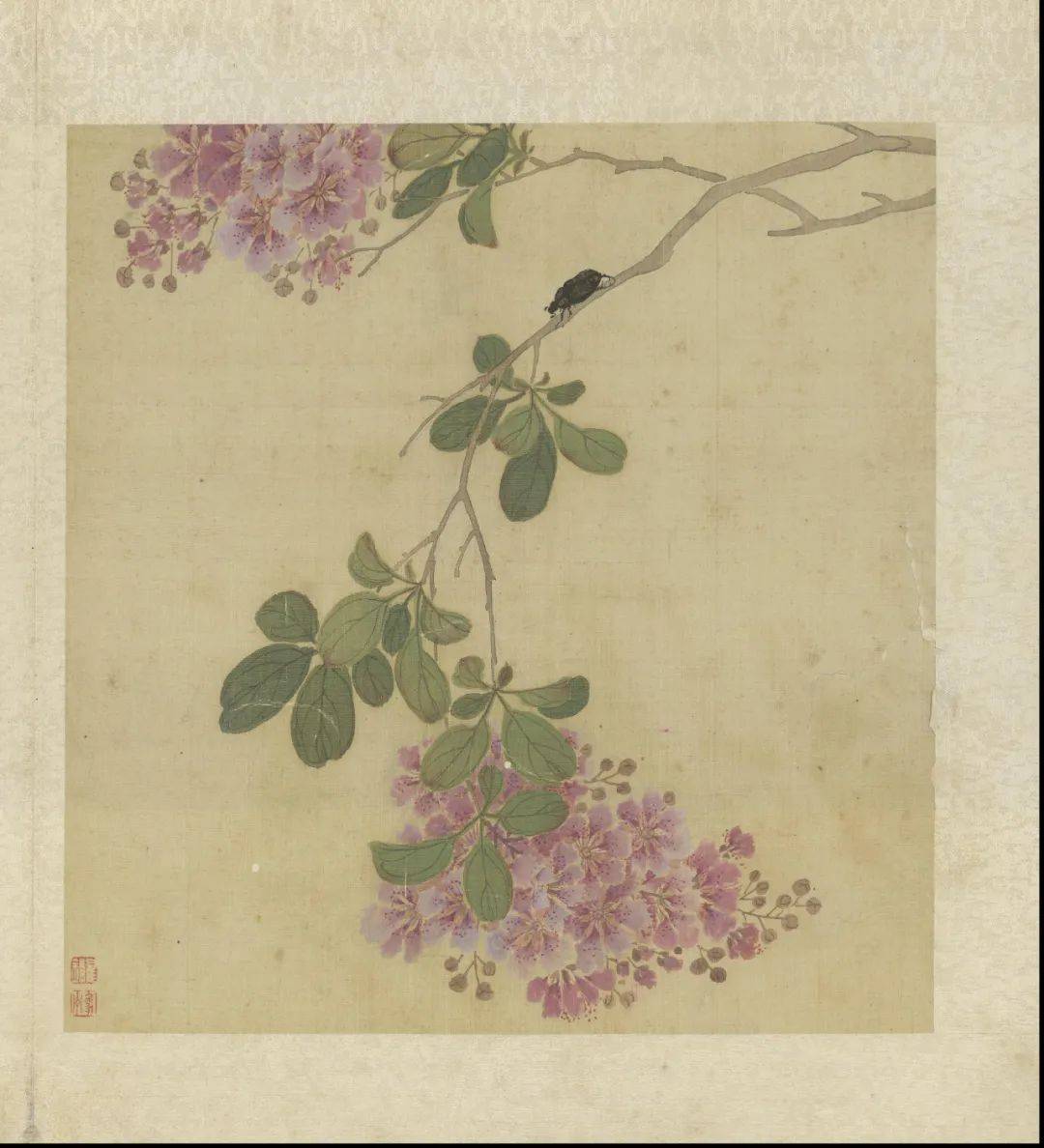 花卉畫冊 畫花卉冊- 故宮