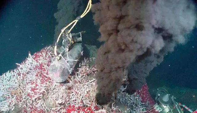海底火山口高达450℃,这里却生活着白色盲虾,它们不怕高温吗?