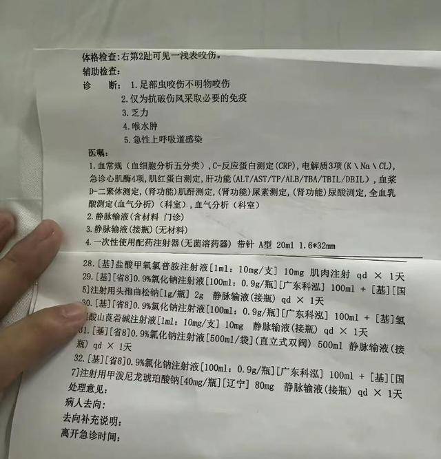 毒蛇还是毒虫咬伤？有无延误治疗？三亚市卫健委介入调查女游客身亡事件