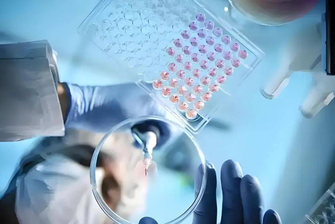 《国学医养》养生课涉嫌虚假宣传 高价"救生汤"被指欺诈老年人(图1)