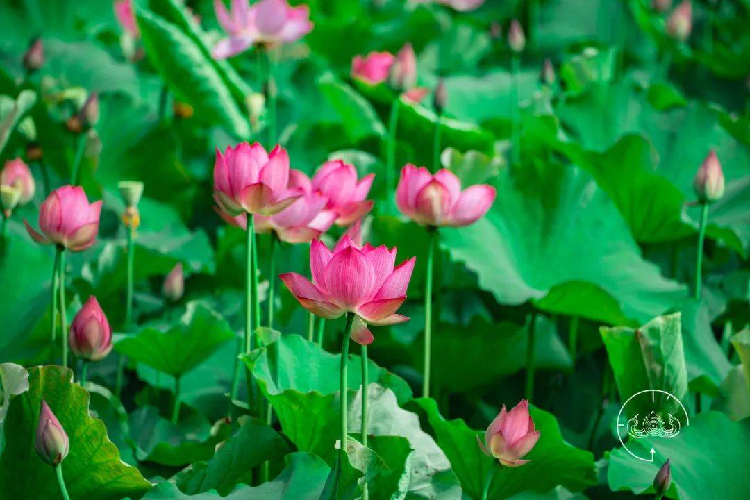 余姚这个网红打卡地,这两天居然这么热闹!