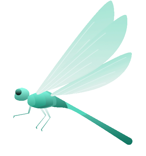 榧茶道：“一片绿叶”带动百姓增收