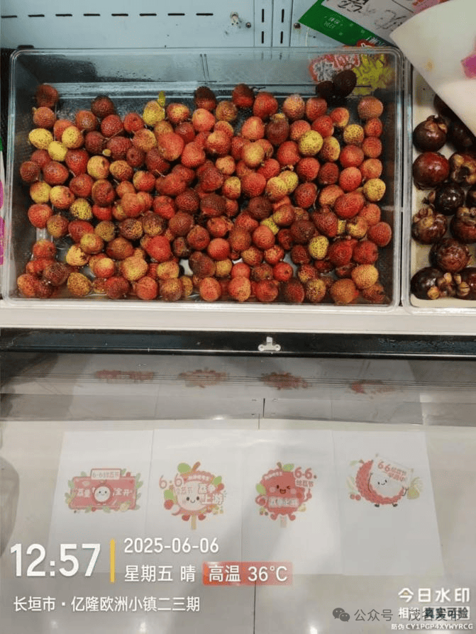 66给荔节火热开展，广东荔枝传递全国祝福