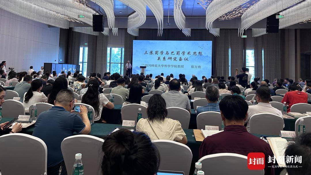 从眉山到世界 专家学者解码三苏与巴蜀的“双向奔赴”_从眉山到世界 专家学者解码三苏与巴蜀的“双向奔赴”_