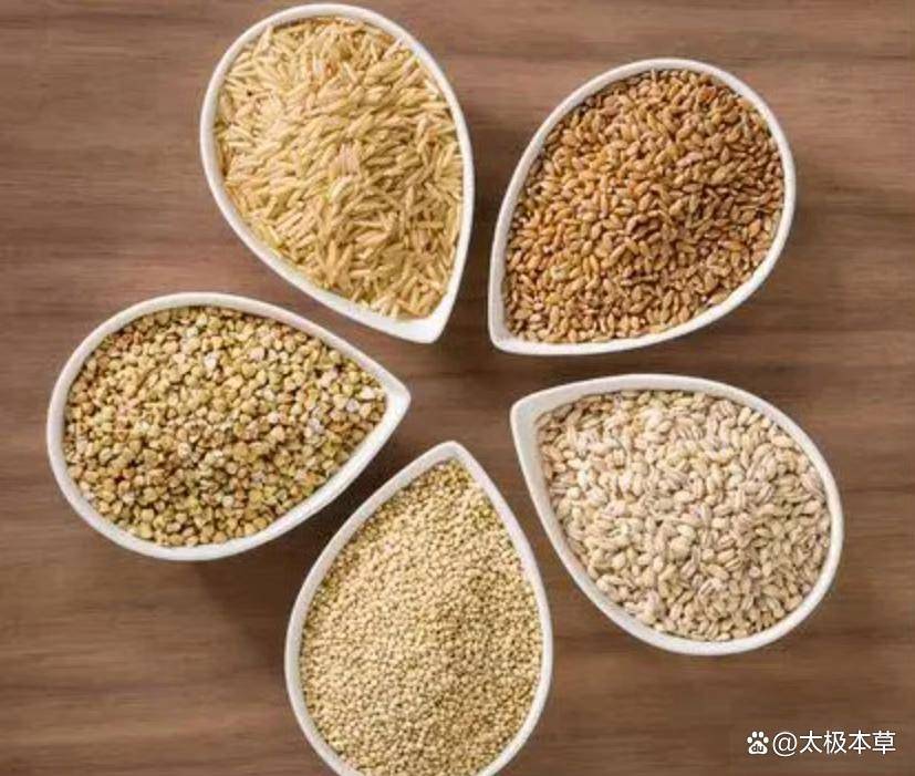 为什么要强调“五谷为养”!五谷养何处_稻米_种子_小米