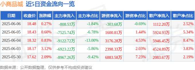 主力买卖净占是什么意思股票_主力净卖出股价走高_