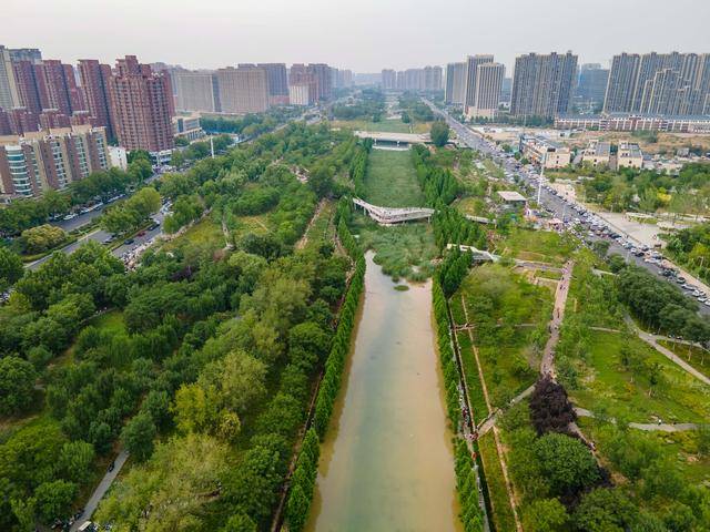 郑州东风渠"水上森林"成夏日遛娃胜地 水杉栈道变身清凉乐园