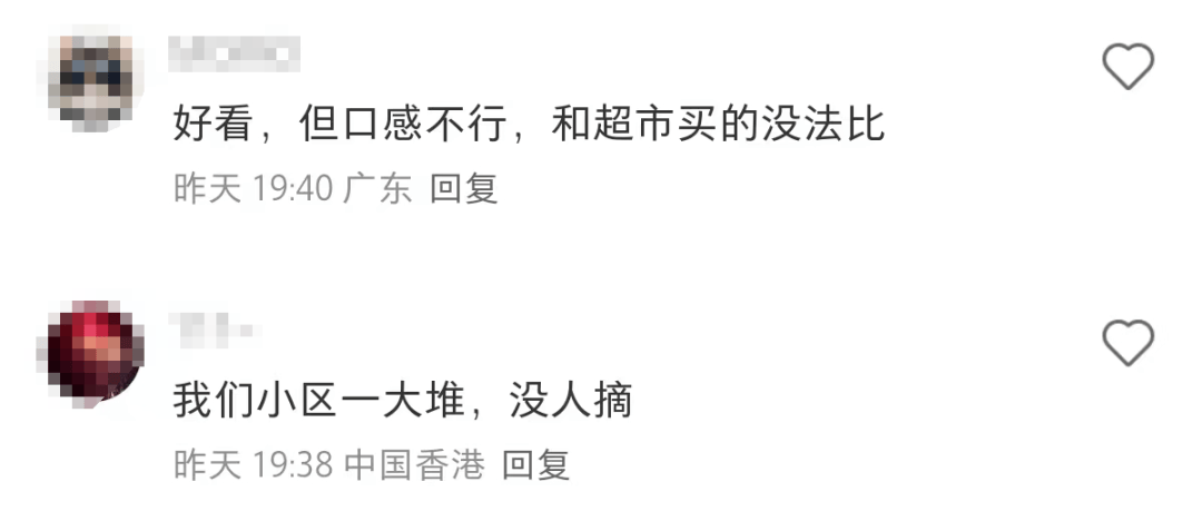 深圳莲花山公园出现大量莲雾！网友称“根本捡不完！”官方提醒