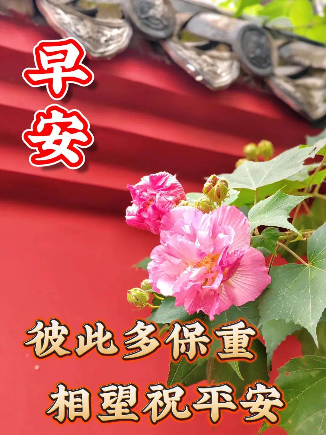 清晨漂亮的早上好问候语图片 早安吉祥祝福语说说句子