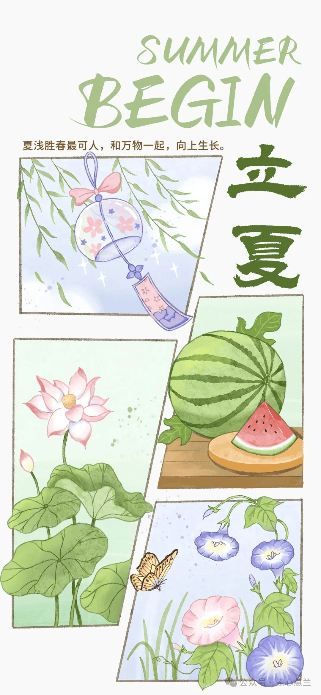 夏至图片文案,夏至快乐祝福问候语句子