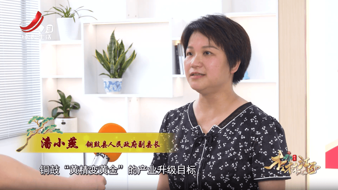 长寿之乡江西铜鼓《杏林江西》山林里的黄"精"万两