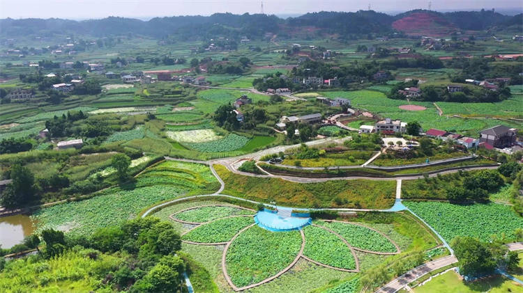 盛夏漫步宜宾翠屏北域，农文旅融合绘就乡村