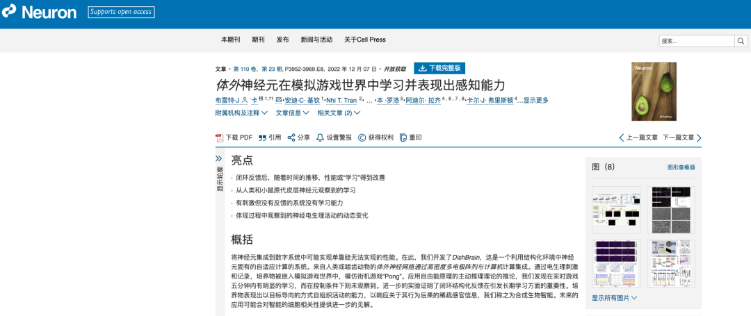 用人脑细胞跑AI，我快搞不懂这个世界了。。。