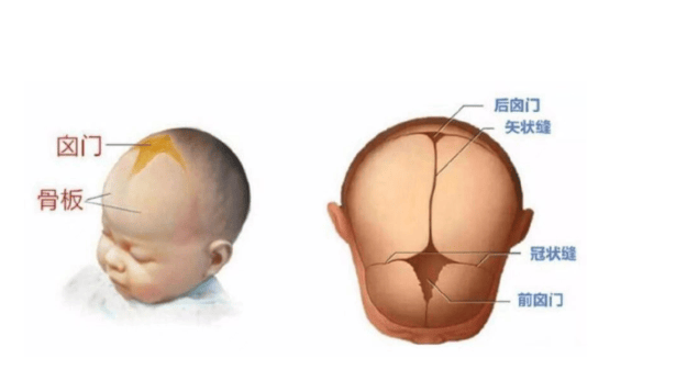 认识宝宝头上的"小窗户"