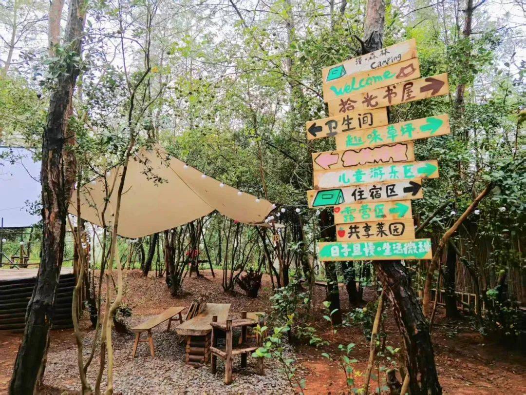夏至已至，来自贡这里拥抱美景与惬意！_夏至已至，来自贡这里拥抱美景与惬意！_