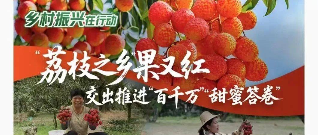 新华网首页首屏聚焦茂名:“荔枝之乡”果又红,交出推进“百千万”“甜蜜答卷”_销售_农文旅_柏桥