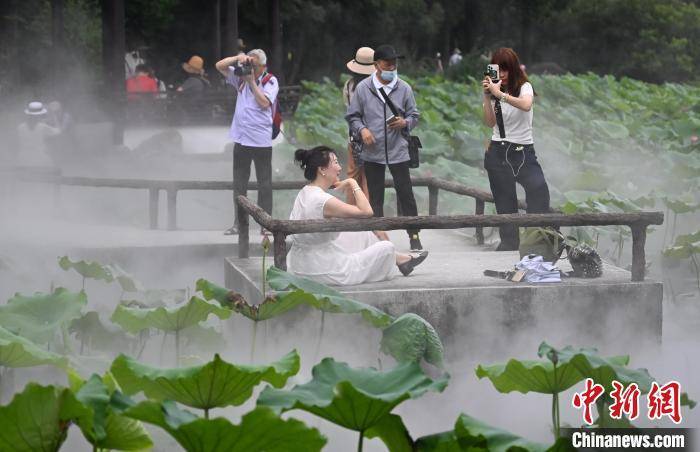沛县新正路两侧范围_7下几何题_