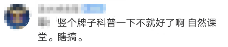 696969大但人文艺术价值:大片连根铲除！深圳一公园“火速响应”引质疑，网友为它喊冤