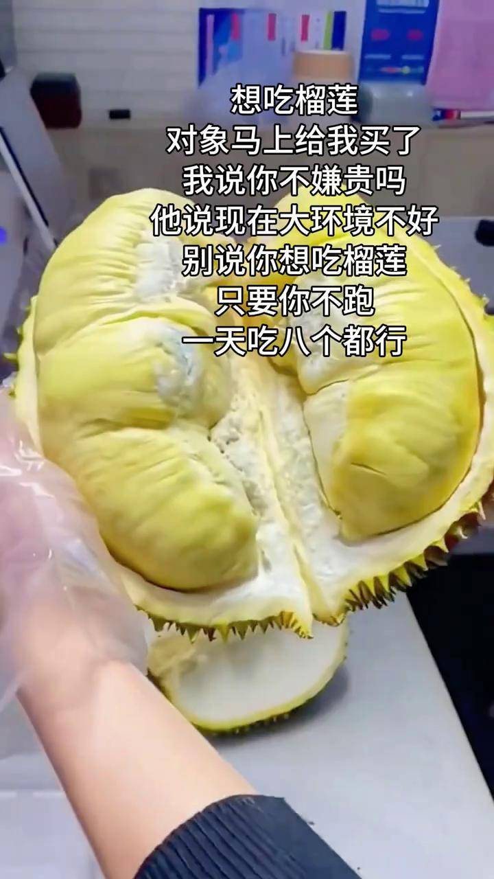 喜欢吃榴莲的看过来 金枕榴莲肉软糯香甜 新鲜应季水果 榴莲 榴莲爱好