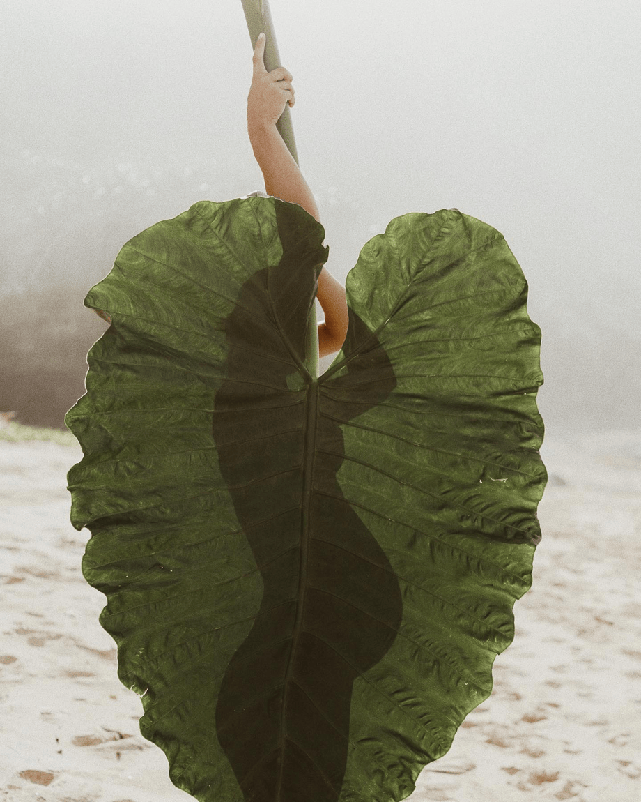 natalie karpushenko艺术摄影