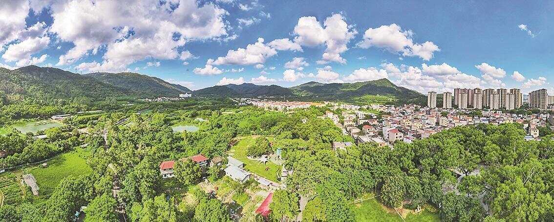 中山：“百千万工程”重塑湾区西岸活力之城