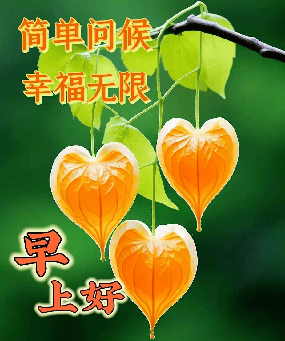 23张最新版超漂亮早安精选图片祝福