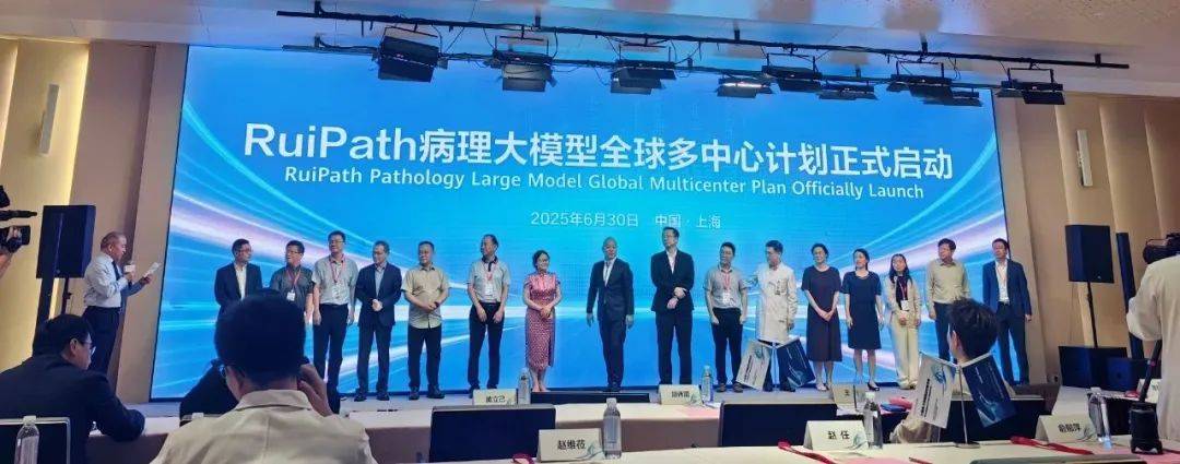 华为，大动作！_病理_RuiPath_模型