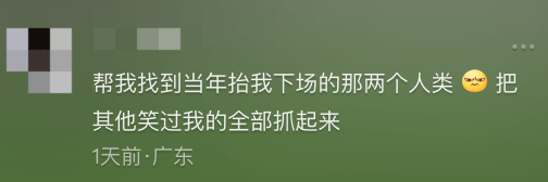 比国足还好笑的“机器人足球赛”，最忙的是救生员！