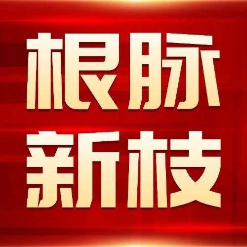 根脉·新枝丨【红通通】【巴士·红堡垒】党建子品牌正式发布_发展_场站_交通