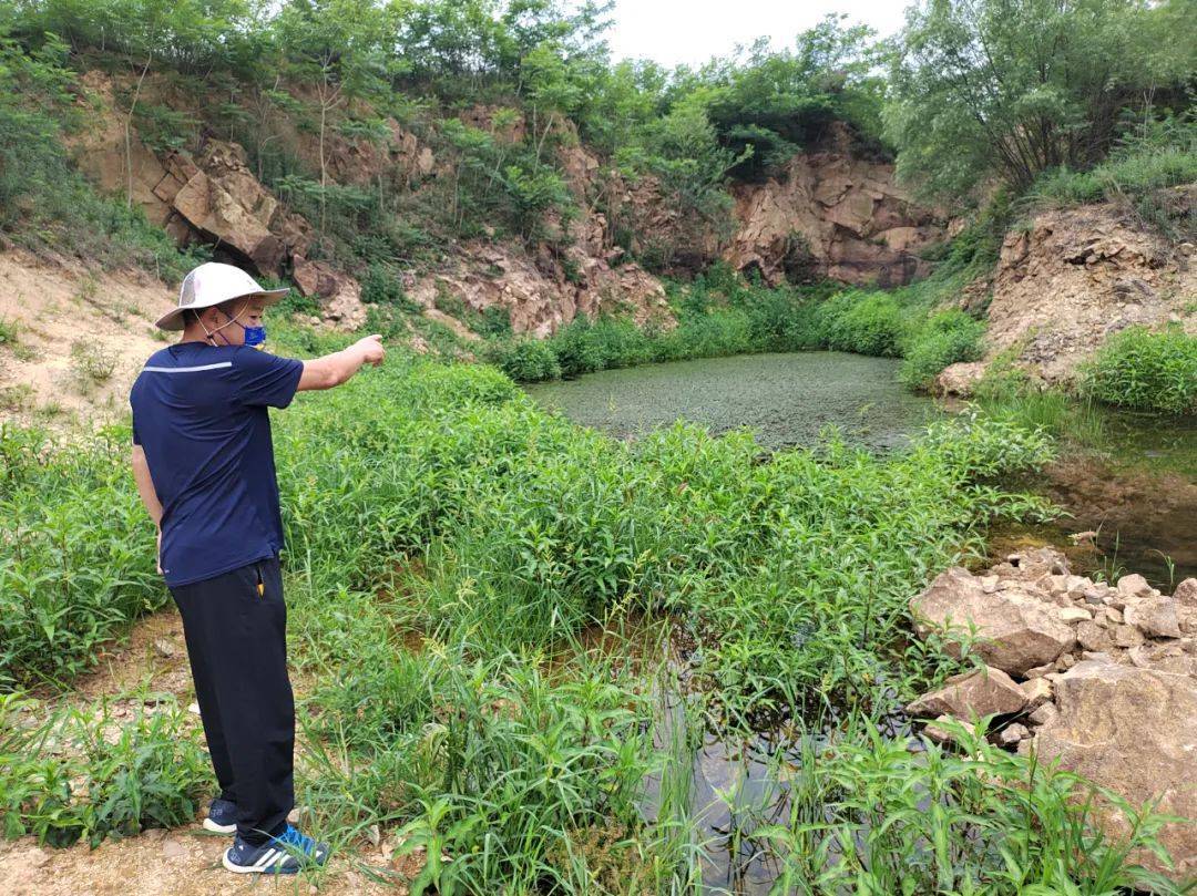 还珠之轩斗:山东乳山非法倾倒固废事件调查