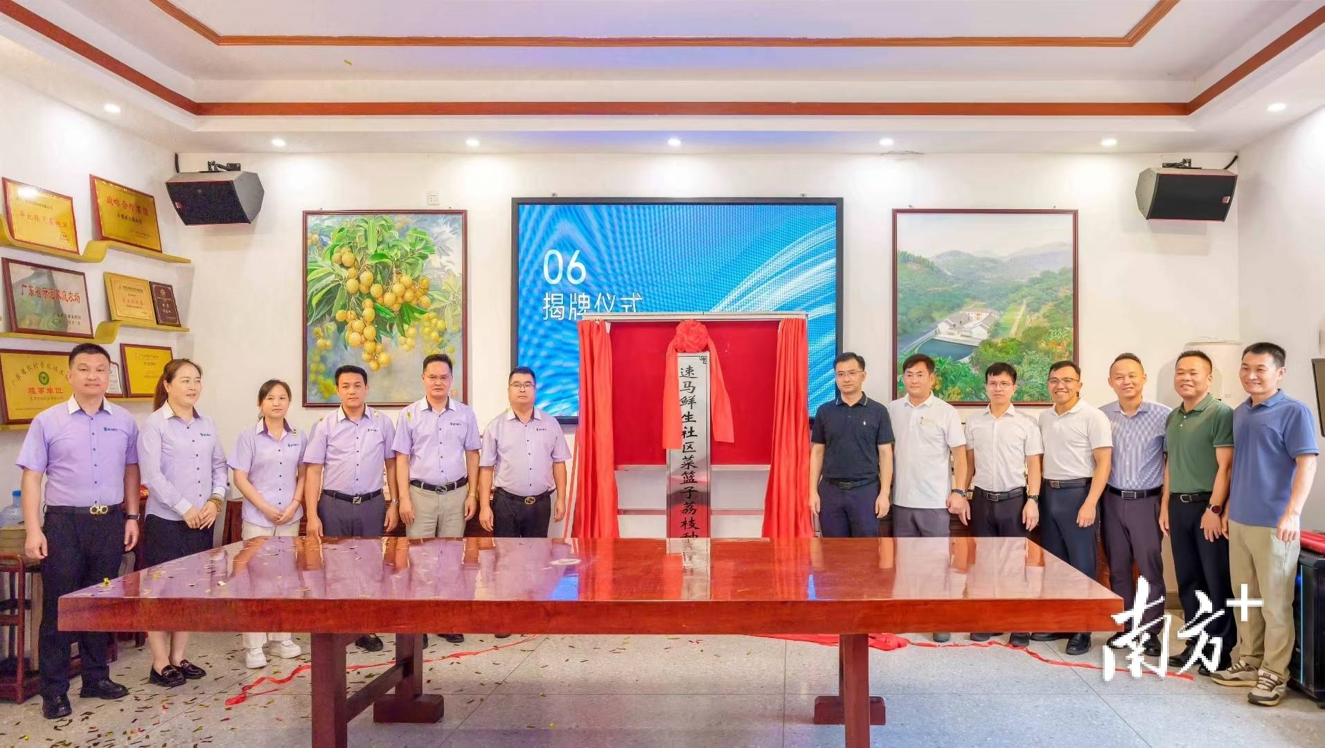 产销企业战略合作，东莞樟木头助“荔”产地直达消费者