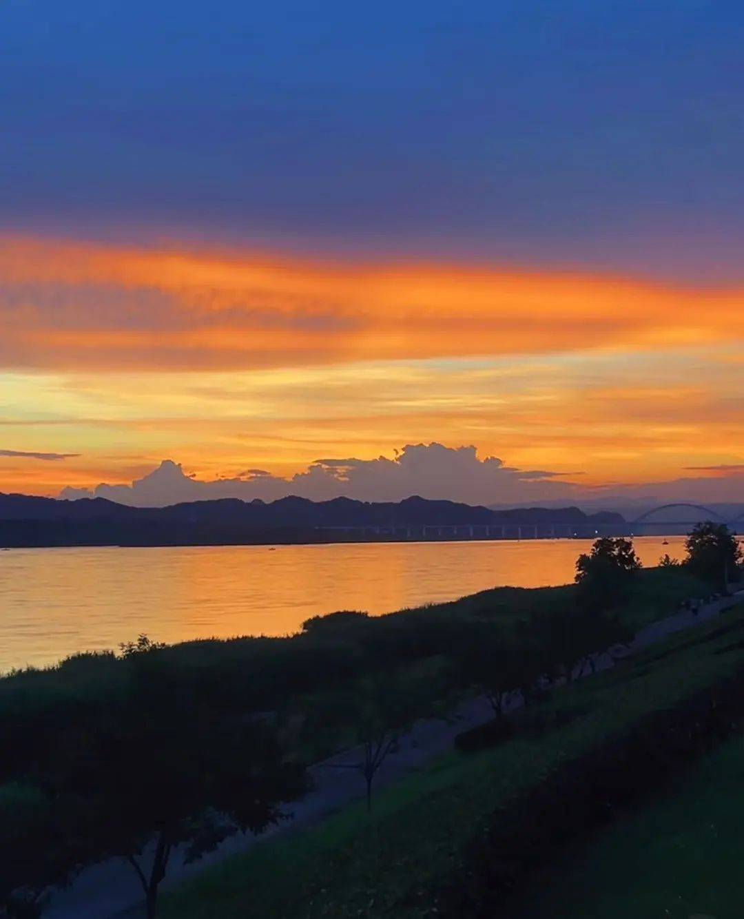 棉花糖」刷爆朋友圈的绝美「橘色海洋」图