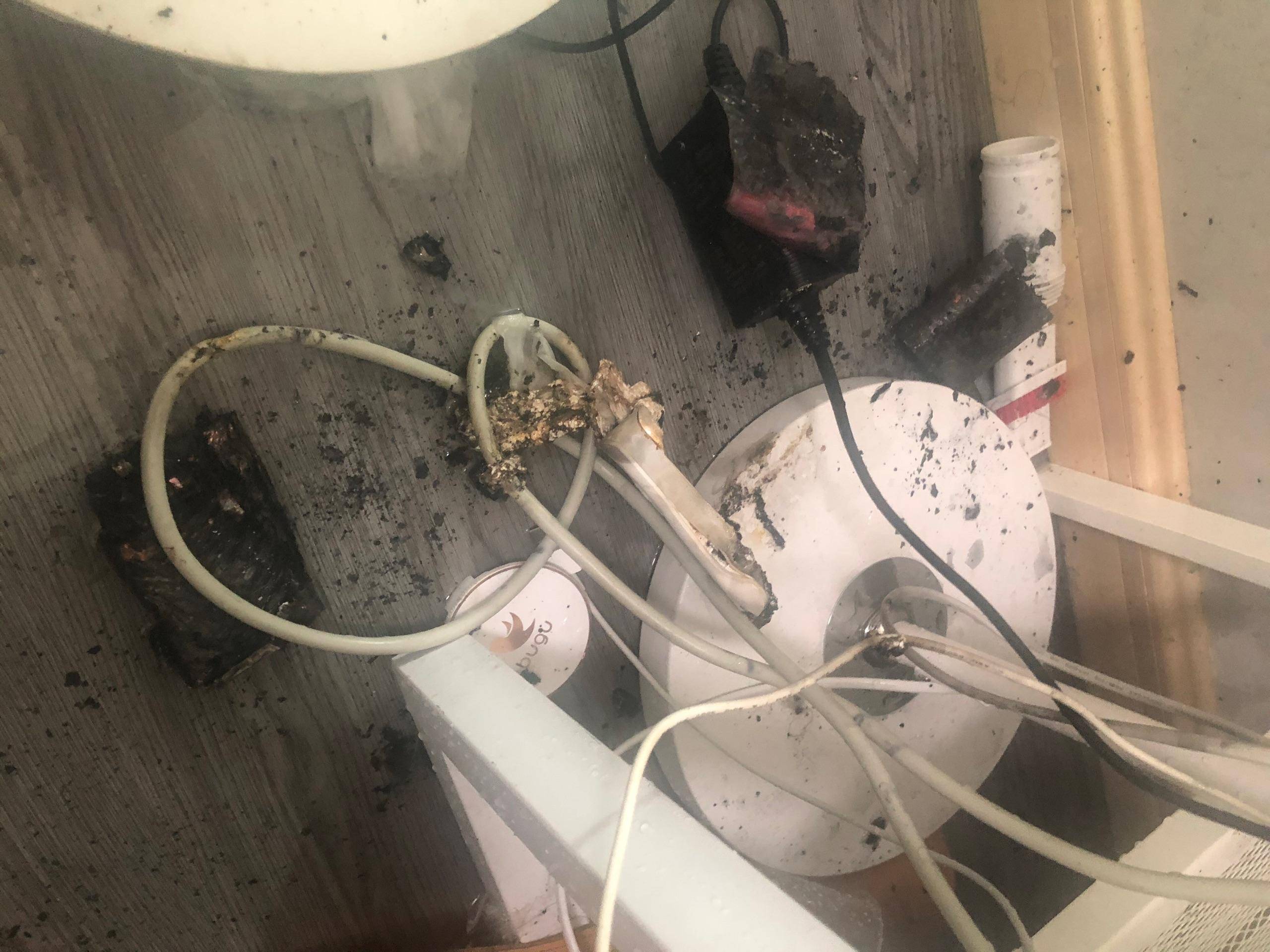 罗马仕停工停产！低价内卷遭反噬，制造业警钟已鸣？