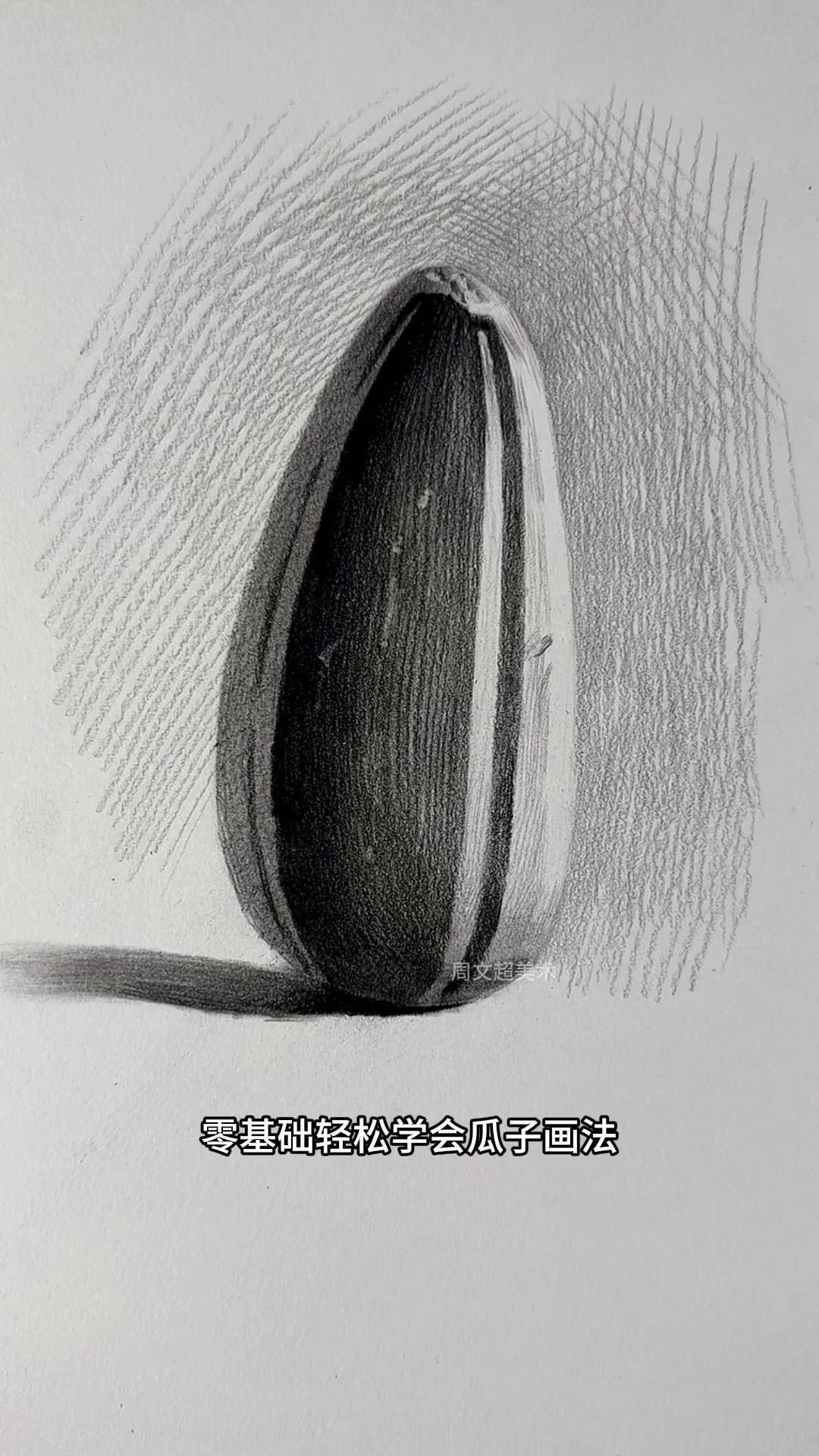 零基础轻松学会瓜子画法画画 素描 零基础学画画