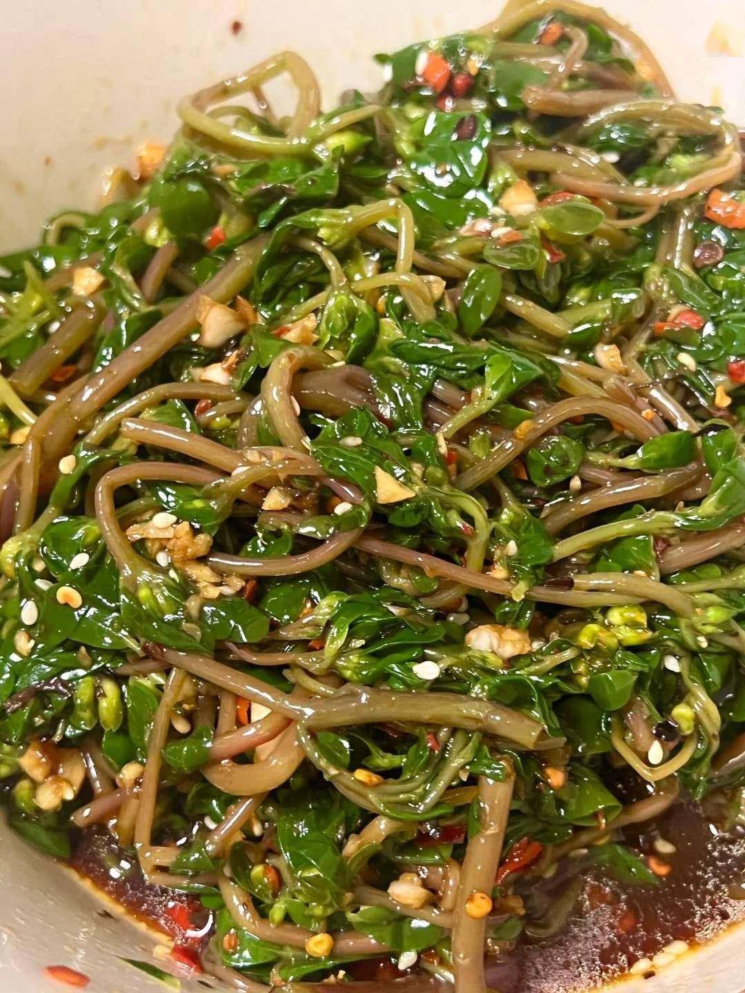 利湿排毒第一名北方人竟当杂草