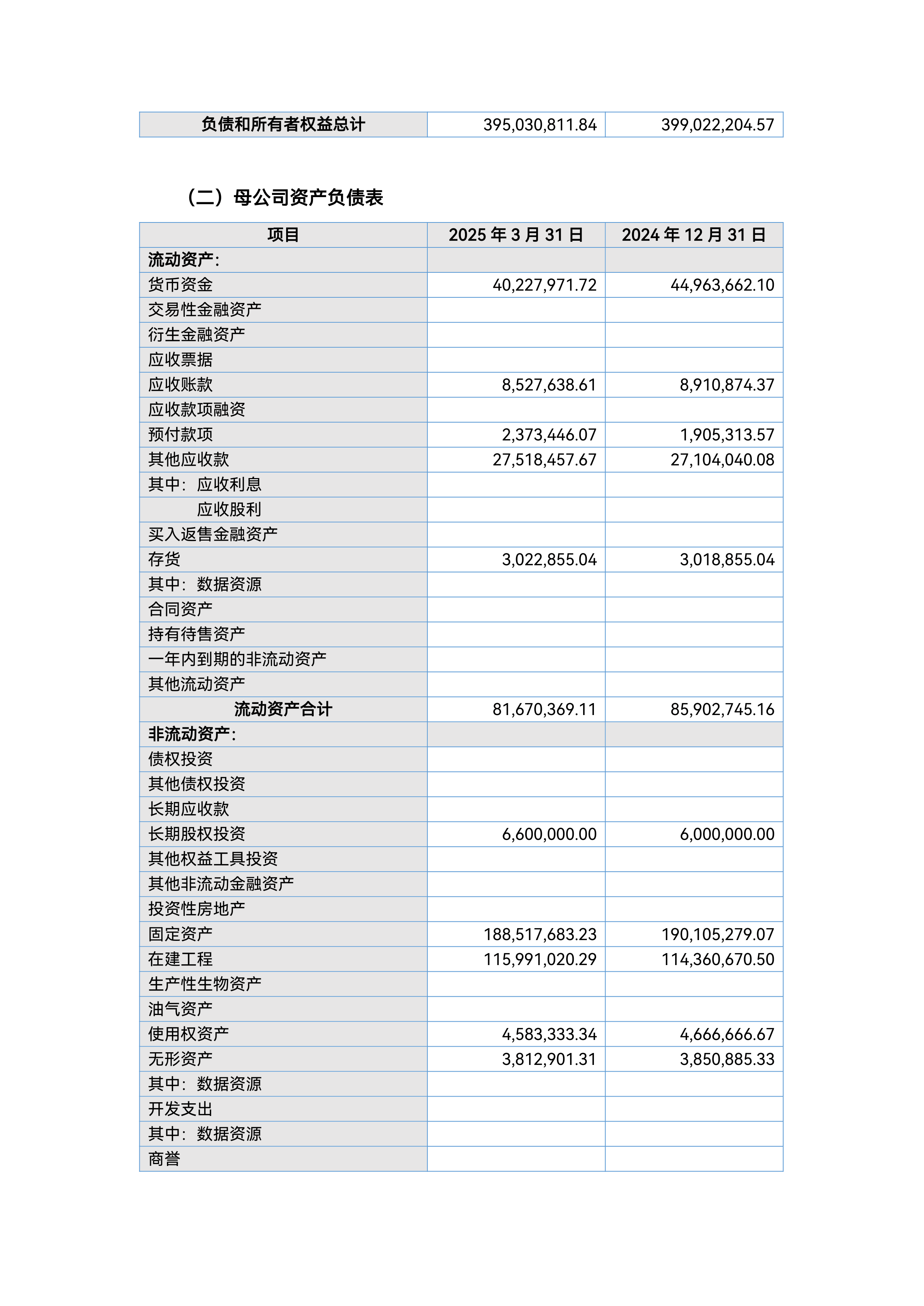 深沪京-公告-贵阳旅文-2025年第一季度财务报表