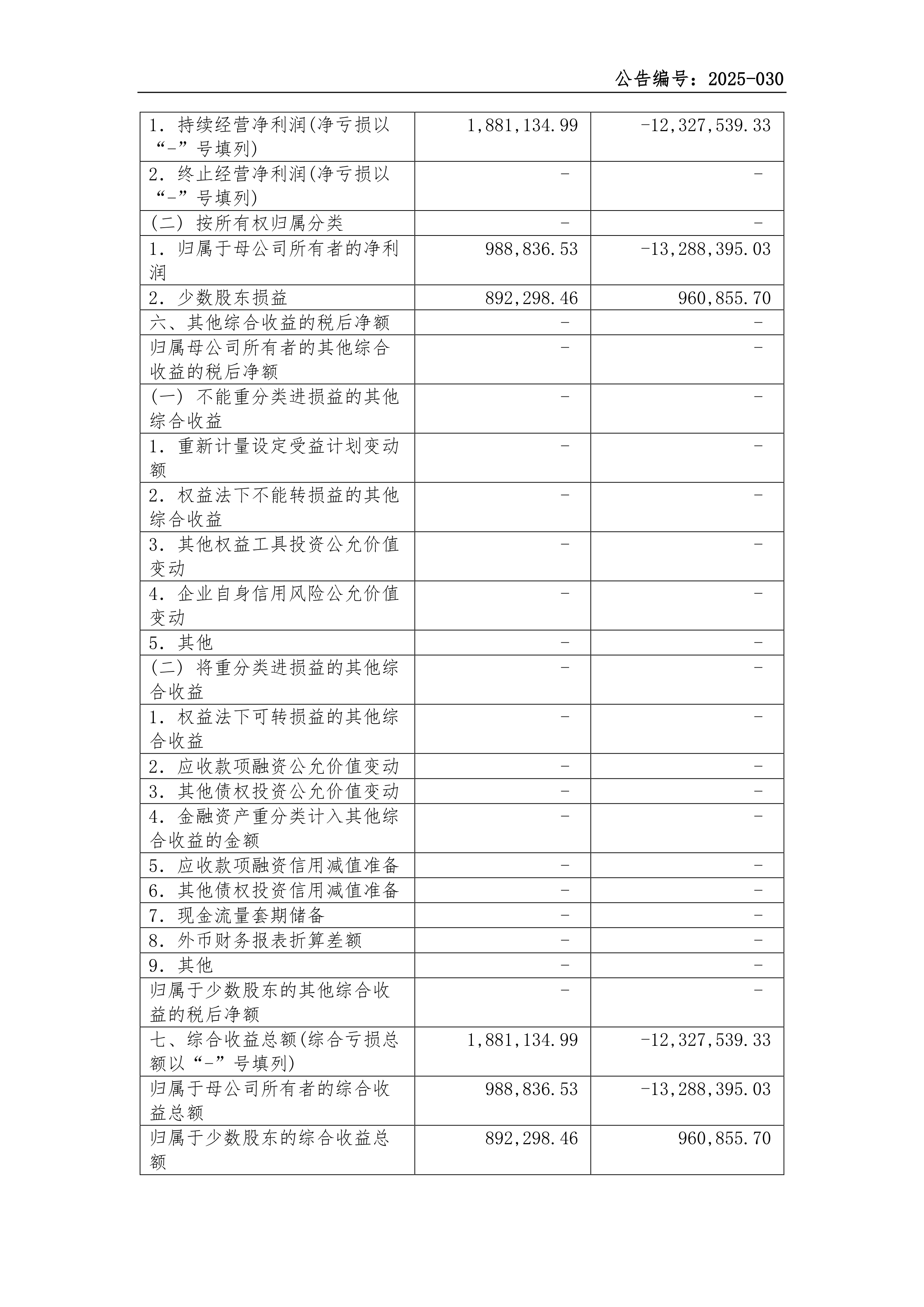 深沪京-调研-新之科技-2025年第一季度财务报表