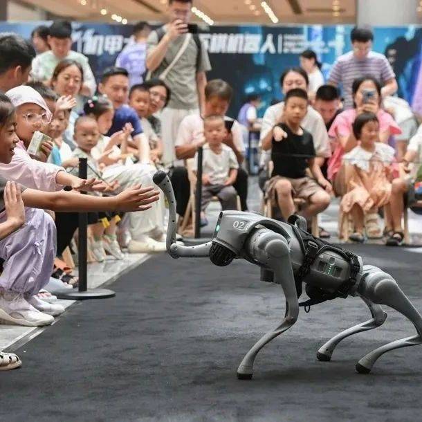 为什么上海普陀这条路能决定全国超一半机器人的“毕业去向”？