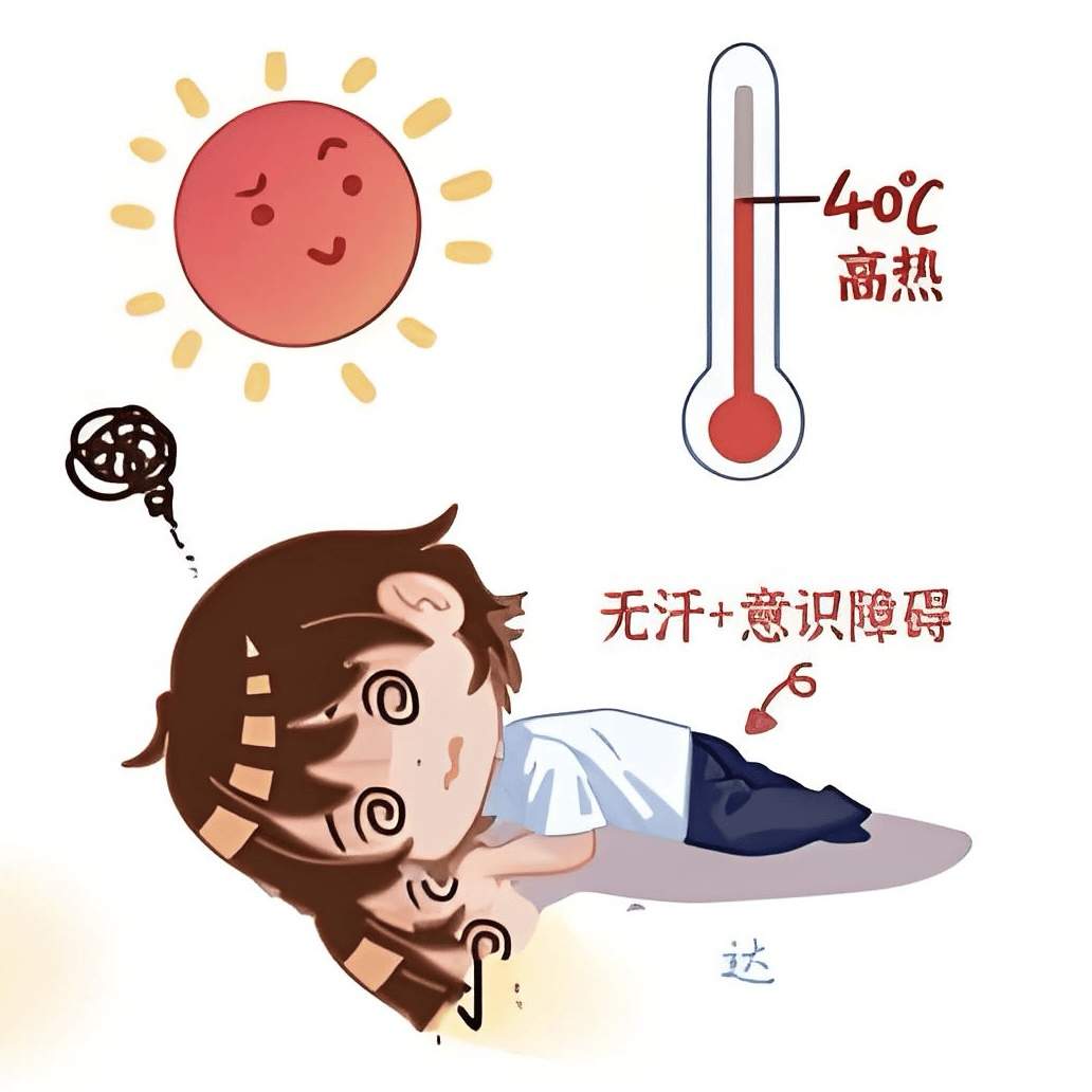 夏日炎炎,高温来袭,如何预防中暑?